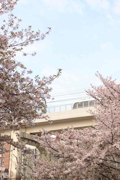 上海