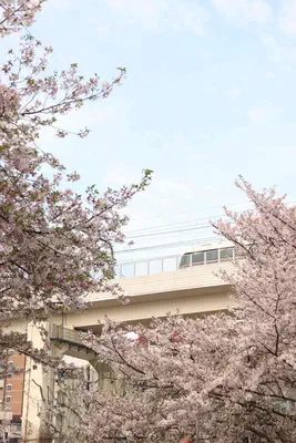 上海